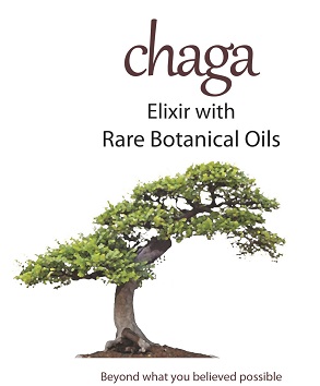 Chaga Elixir