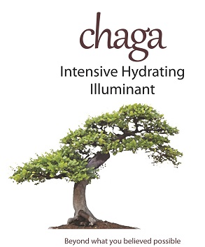 Chaga Intensive Illuminant